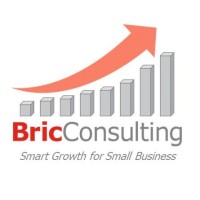 Bric Consulting logo